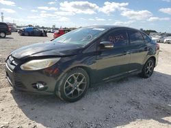 Salvage cars for sale from Copart Opa Locka, FL: 2013 Ford Focus SE