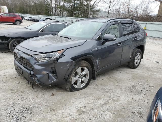 2019 Toyota Rav4 XLE