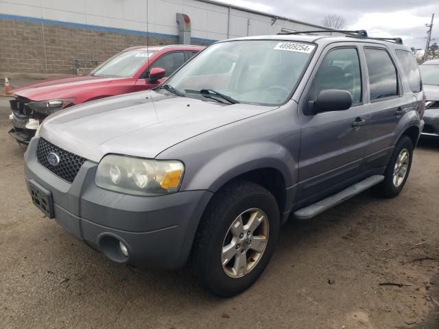 2007 Ford Escape XLT