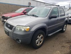 2007 Ford Escape XLT for sale in New Britain, CT
