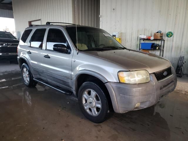 2001 Ford Escape XLT