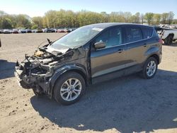 Salvage cars for sale at Conway, AR auction: 2019 Ford Escape SE