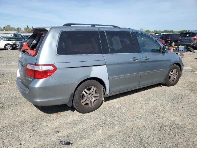 2005 Honda Odyssey EXL