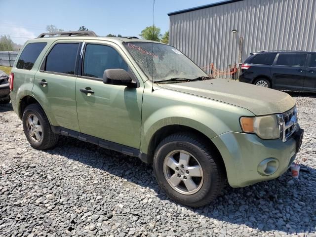 2008 Ford Escape XLT