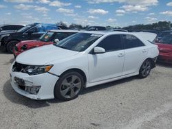 Salvage cars for sale from Copart San Antonio, TX: 2013 Toyota Camry SE