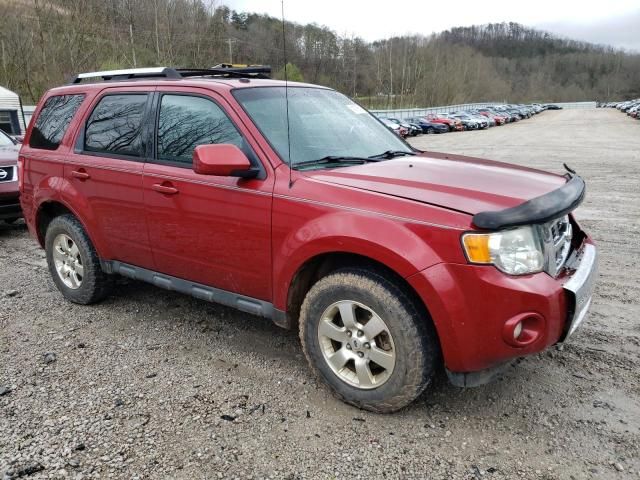 2011 Ford Escape Limited