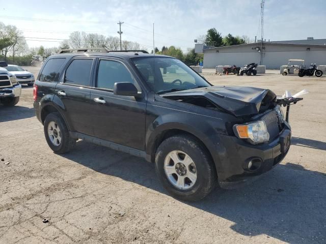 2010 Ford Escape XLT