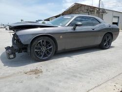 Salvage cars for sale at Corpus Christi, TX auction: 2019 Dodge Challenger R/T Scat Pack