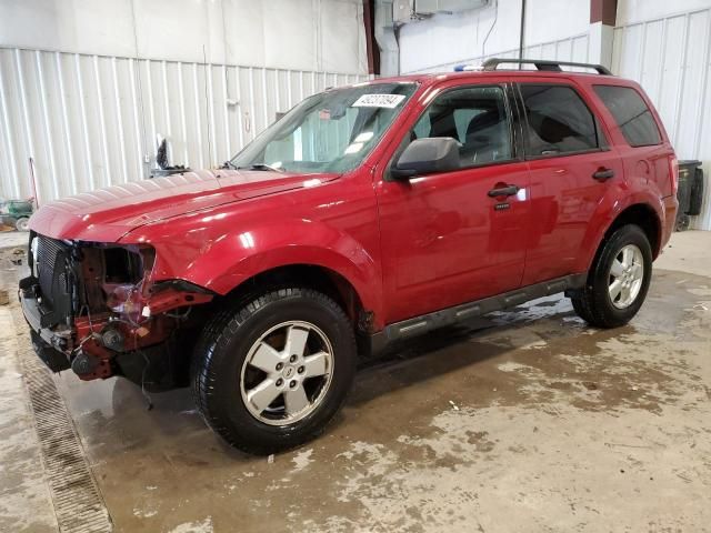 2010 Ford Escape XLT