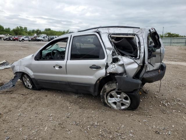 2007 Ford Escape XLT