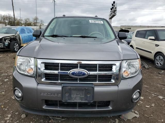 2012 Ford Escape XLT