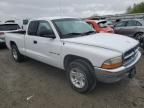 2001 Dodge Dakota