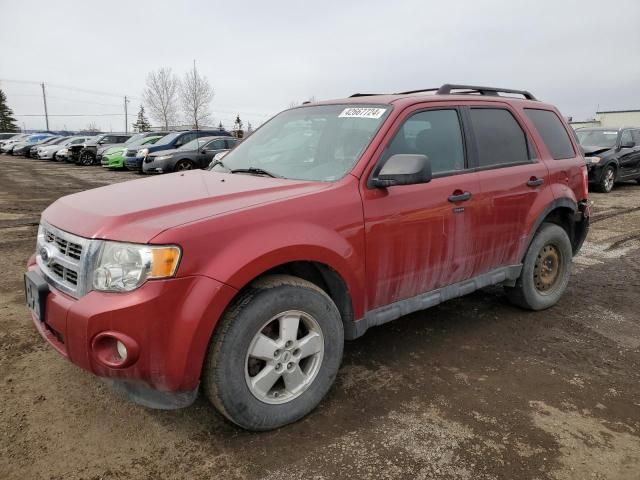 2012 Ford Escape XLT