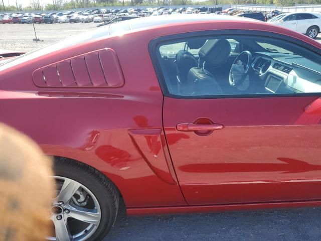 2013 Ford Mustang GT