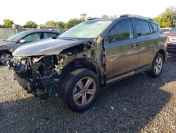 Toyota rav4 salvage cars for sale: 2015 Toyota Rav4 XLE