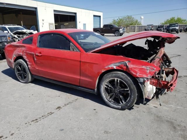 2010 Ford Mustang