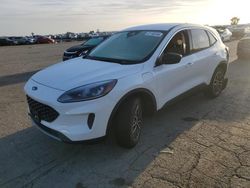 Salvage cars for sale at Martinez, CA auction: 2022 Ford Escape SE