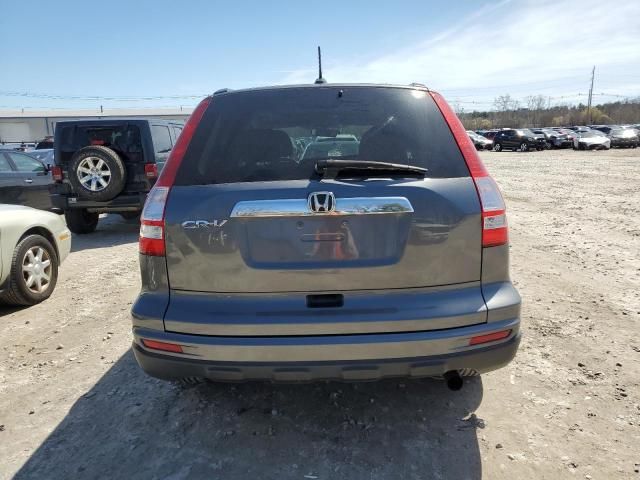 2010 Honda CR-V EXL