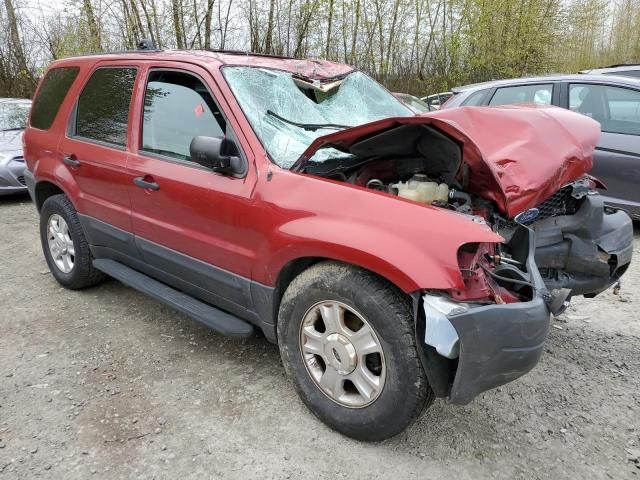 2004 Ford Escape XLT