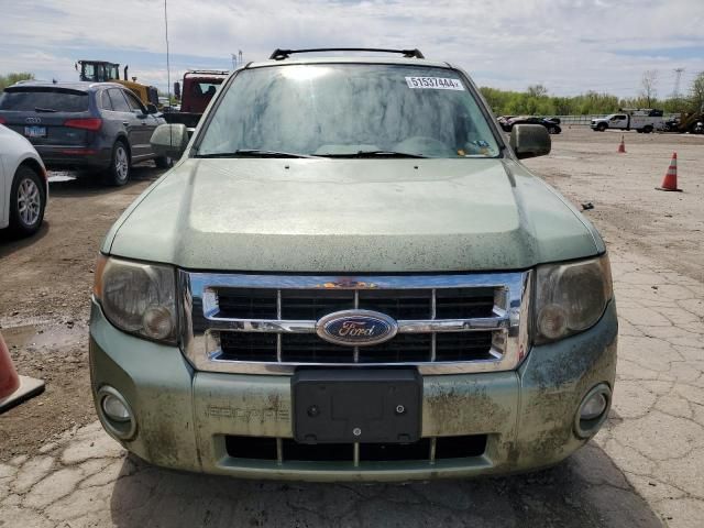 2008 Ford Escape HEV