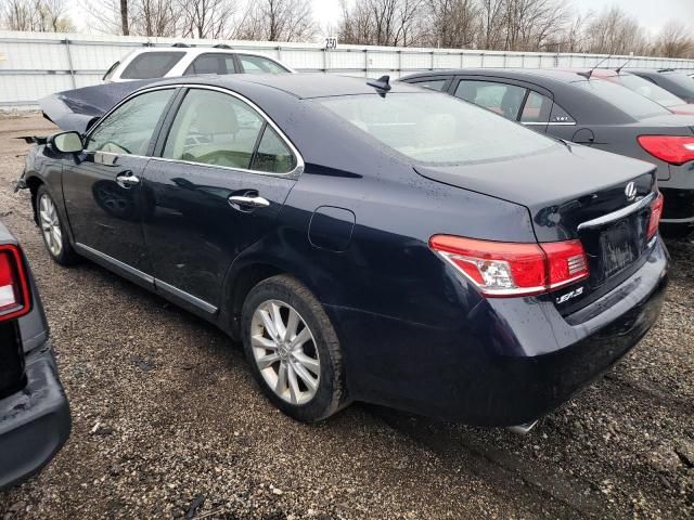 2010 Lexus ES 350