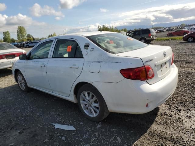 2009 Toyota Corolla Base