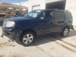 Honda Pilot salvage cars for sale: 2011 Honda Pilot Exln