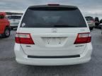 2005 Honda Odyssey EXL