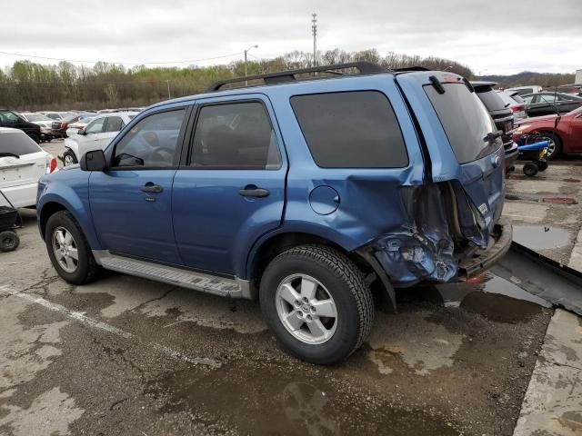 2010 Ford Escape XLT