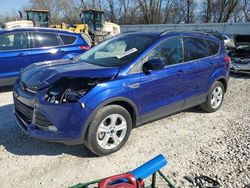 Salvage cars for sale at Franklin, WI auction: 2016 Ford Escape SE