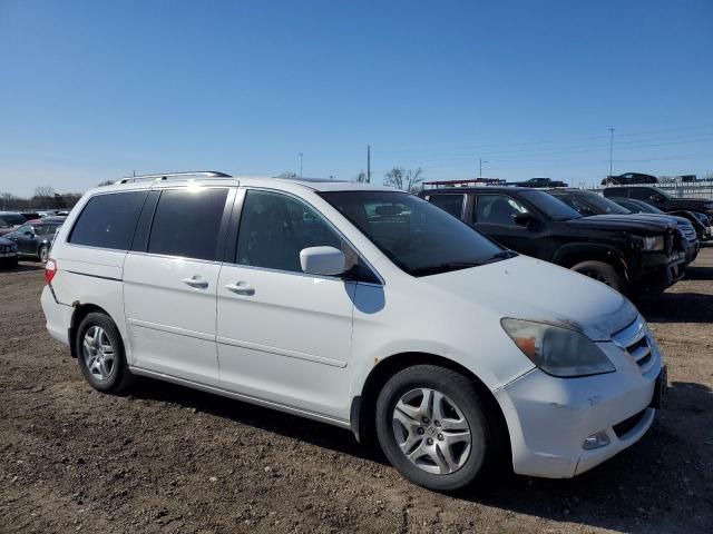 2005 Honda Odyssey EXL