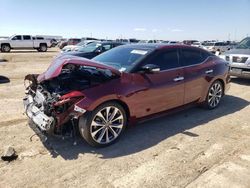 Salvage cars for sale at Amarillo, TX auction: 2020 Nissan Maxima Platinum