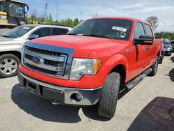 Ford salvage cars for sale: 2014 Ford F150 Supercrew