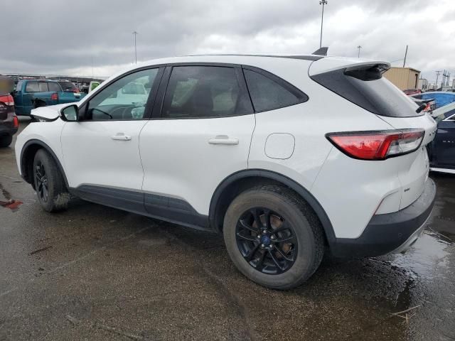 2020 Ford Escape SE Sport