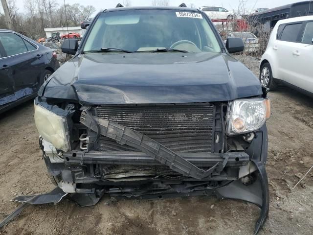 2008 Ford Escape XLT