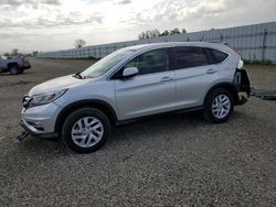 Salvage cars for sale at Anderson, CA auction: 2016 Honda CR-V EX