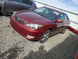 Toyota Camry salvage cars for sale: 2005 Toyota Camry SE