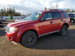 Vehiculos salvage en venta de Copart Bowmanville, ON: 2011 Ford Escape XLT