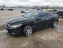 Salvage cars for sale from Copart Louisville, KY: 2009 Honda Accord EXL