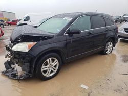 Salvage cars for sale at Amarillo, TX auction: 2011 Honda CR-V EXL