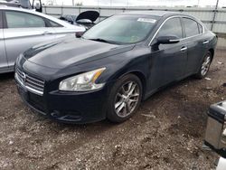 Salvage cars for sale at Elgin, IL auction: 2009 Nissan Maxima S