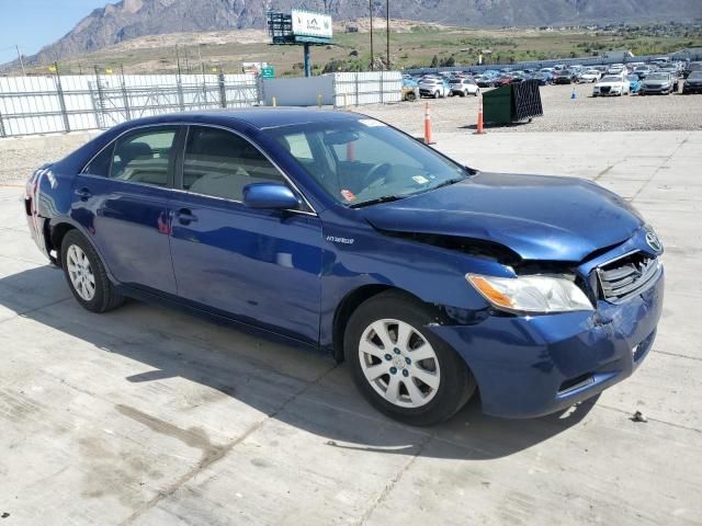 2009 Toyota Camry Hybrid