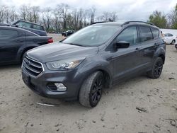 Ford Escape SE salvage cars for sale: 2017 Ford Escape SE