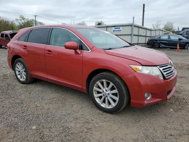 2010 Toyota Venza