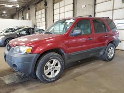 Salvage cars for sale from Copart Blaine, MN: 2007 Ford Escape XLT