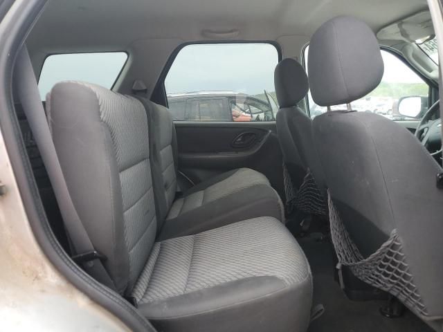 2004 Ford Escape XLT