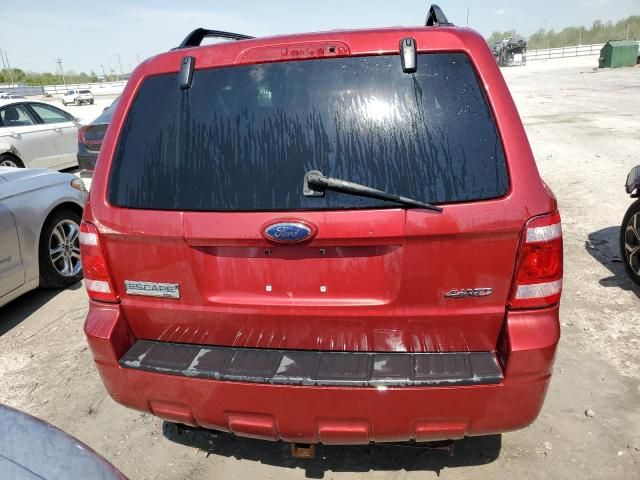 2008 Ford Escape XLT