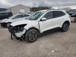 Salvage cars for sale from Copart Lawrenceburg, KY: 2020 Ford Escape SEL
