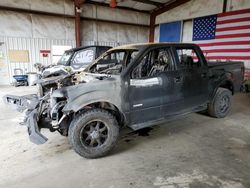 Vehiculos salvage en venta de Copart Helena, MT: 2014 Ford F150 Supercrew