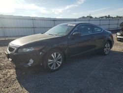 Honda salvage cars for sale: 2009 Honda Accord EXL